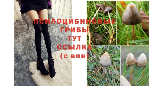 МДМА Дмитров